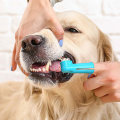 Essential Tips for Maintaining Your Dog's Dental Health