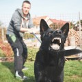 Understanding and Managing Canine Aggression: A Guide for Pet Owners