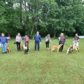Exploring Dog Training Classes and Courses in the UK