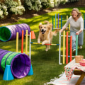 Engaging Your Dog: Fun and Stimulating Activities for a Happy Pet