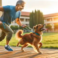 Ensuring Your Dog Gets the Right Amount of Exercise