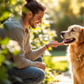 Welcoming New Faces: A Guide to Introducing Your Dog to People and Children