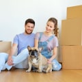 Understanding Dog Ownership in Rental Properties: Key Considerations