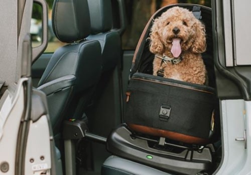 Navigating the Laws and Regulations for Travelling with Your Dog in the UK