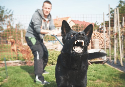 Understanding and Managing Canine Aggression: A Guide for Pet Owners