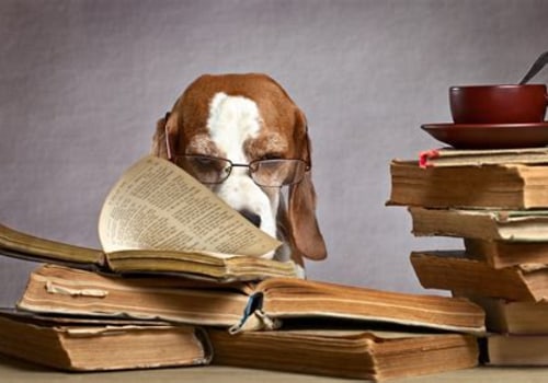 Understanding Pet Ownership Laws and Regulations in the UK
