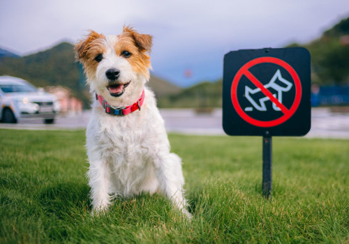 Understanding Dog Ownership Restrictions in the UK: What You Need to Know