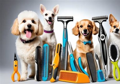 Essential Grooming Needs for Different Dog Breeds
